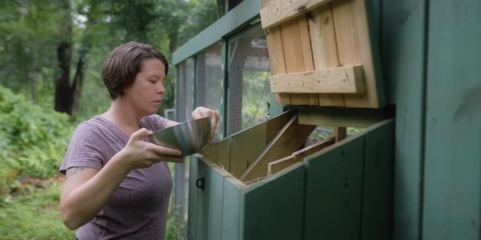 Woman opens a lid on a box attached to a building and removes eggs and puts them in a silver bowl