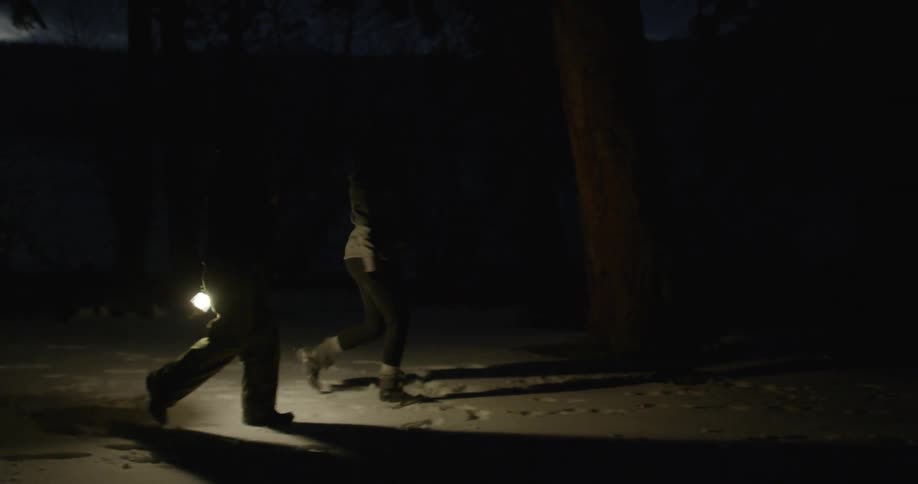 Two people walk in the snow at night while one holds a lantern