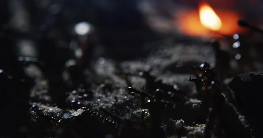 A flame blows out and smoke billows over a battle scene of toy soldiers