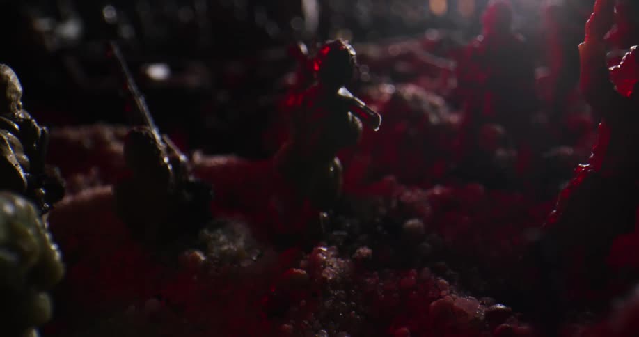 Light shines over soldier figurines set in battlefield diorama