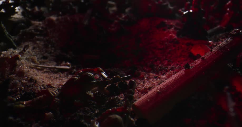 A plastic toy soldier is laying in some dirt next to wood