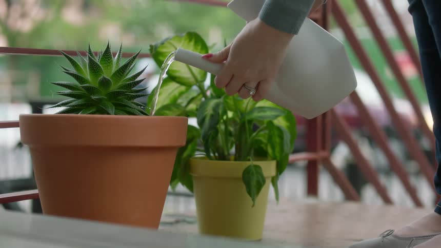 A woman waters plants on her front porch