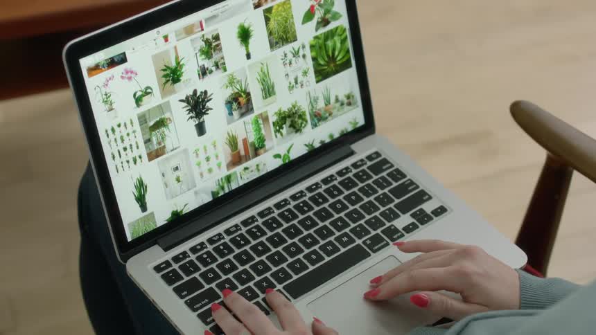 Woman sitting on a chair browsing plants images on a laptop