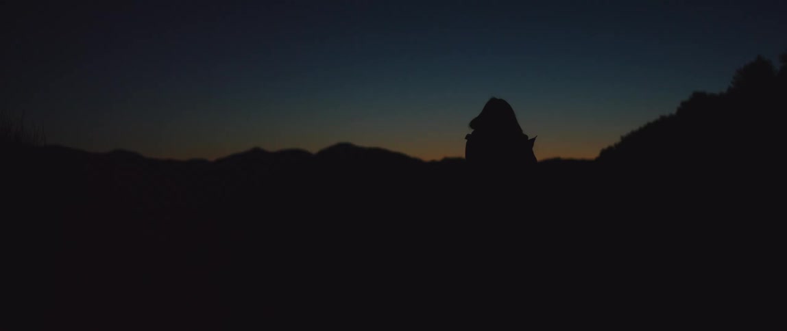 The silhouette of a person can be seen as they walk near the mountains at night