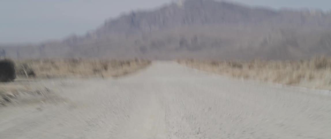 Black sports car speeds around corner onto gravel road spewing dust as it heads toward mountain past scrub fields