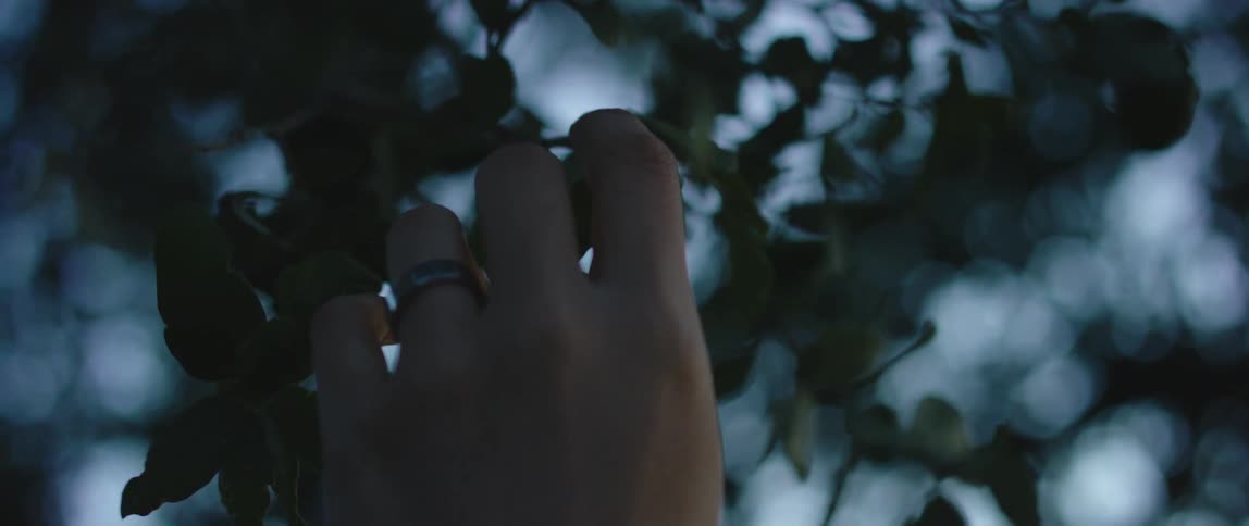A person with a ring touching a branch with leaves with the sky and clouds in the background