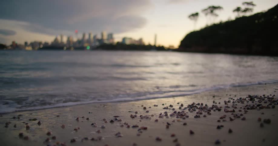 Waves from the lake roll in to shore as a city sits in the distance