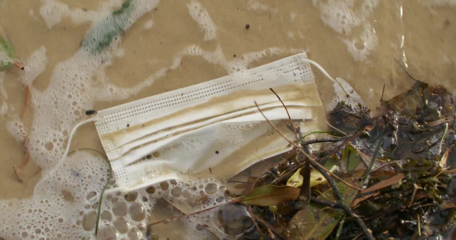 A discarded disposable face mask is tangled with a pile of twigs and leaves in the water