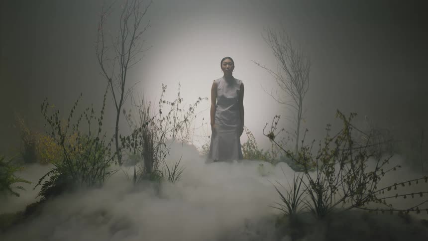 A model poses in an indoor makeshift forest with smoke filling the ground