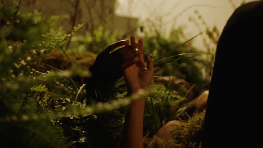 Two people are holding hands and laying in the grass at dusk