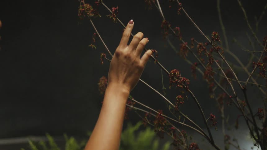 A woman is standing outdoors at night next to plants