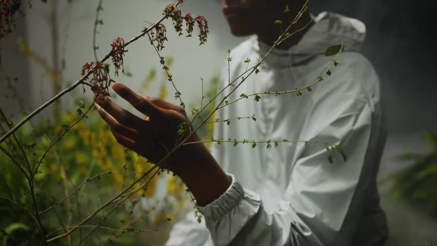 Man stands outdoors backed by heavy fog as he touches flowers on plant