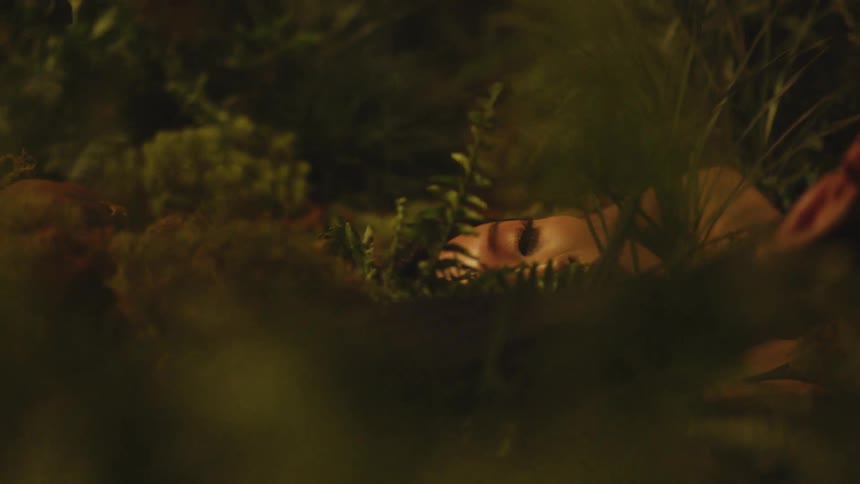 A woman sleeps outside in the grass
