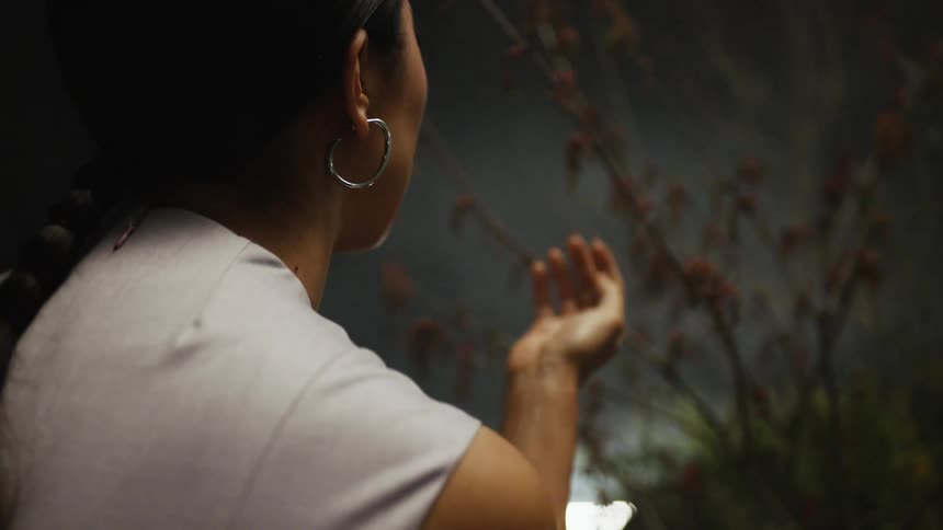 A woman touches a leaf on a branch then pulls her hand back