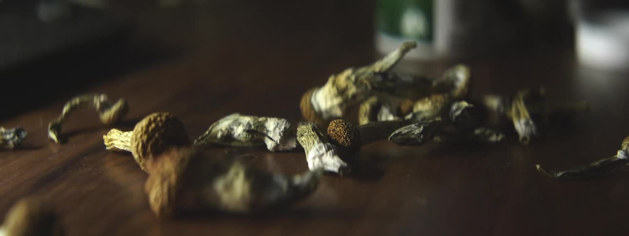 A hand drops many mushrooms onto a wood tabletop