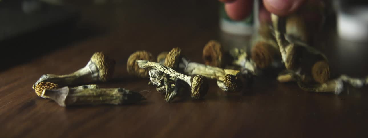 A person in a room dropping mushrooms on a table