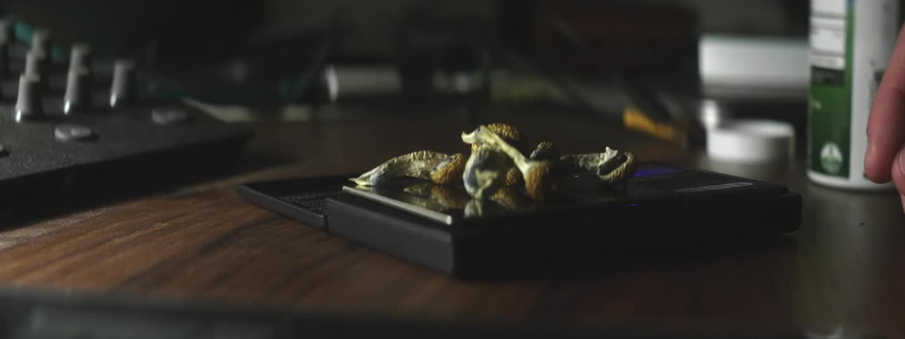 A man places what looks like small bones on a small electronic scale