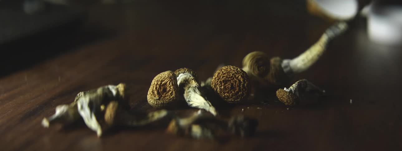A hand pours a plastic container of mushrooms onto a wood table