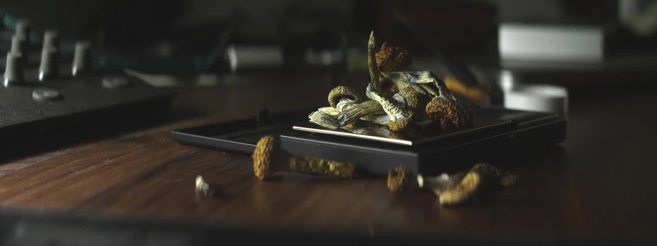 Man weighing batches of small green mushrooms on a scale