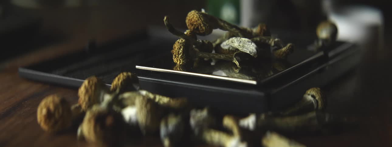Man weighing a bunch of small green mushrooms over a small scale