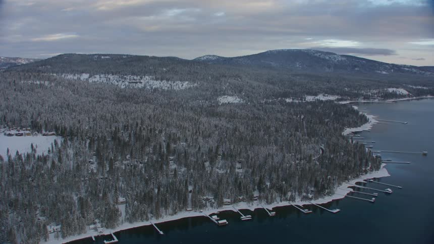 The piers line the forest by the shore