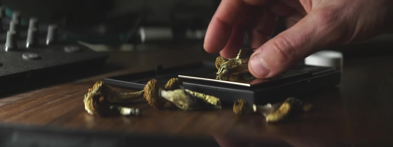 A hand places mushrooms on a scale after pressing a button