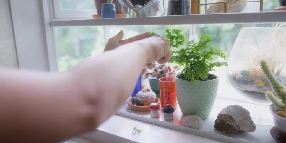 A woman tends to small potted plants in a window sill