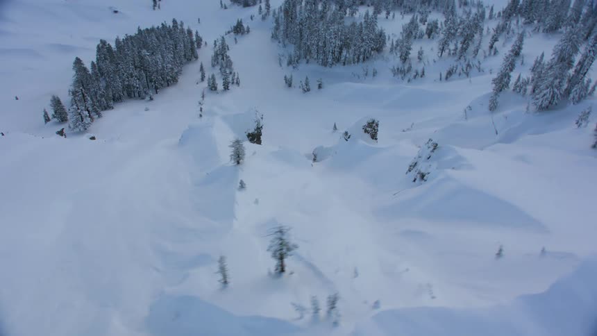The mountain is covered with snow and trees