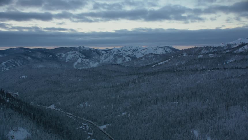 Forest of snow covered pine trees and snow covered mountains in the distance under a cloudy sky