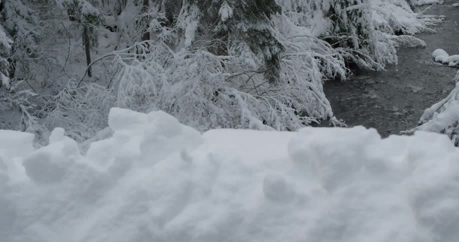 A river through a snowy white forest