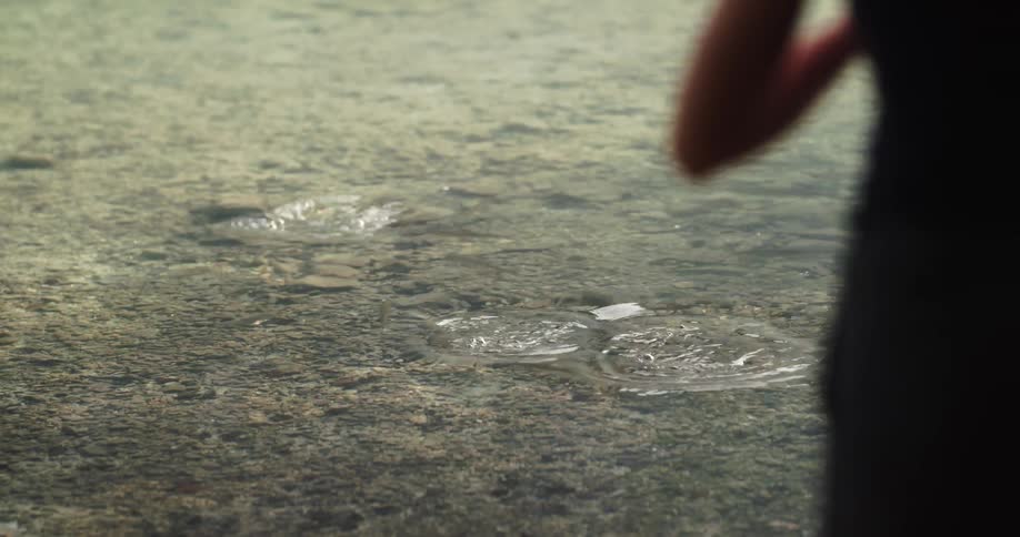 A woman tosses food into a lake to feed the fish swimming around