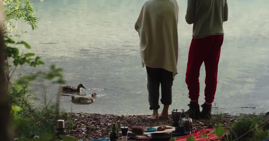 A man and woman stand on the shore and throw food to ducks in the water