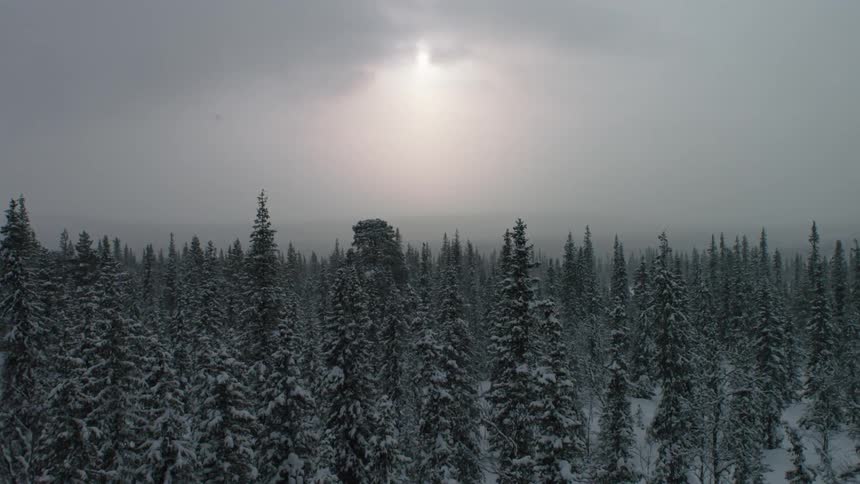 The sun shines through the clouds over a snowy forest