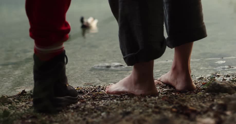 A woman stands on the shore looking a ducks and then another person comes up and stands beside her