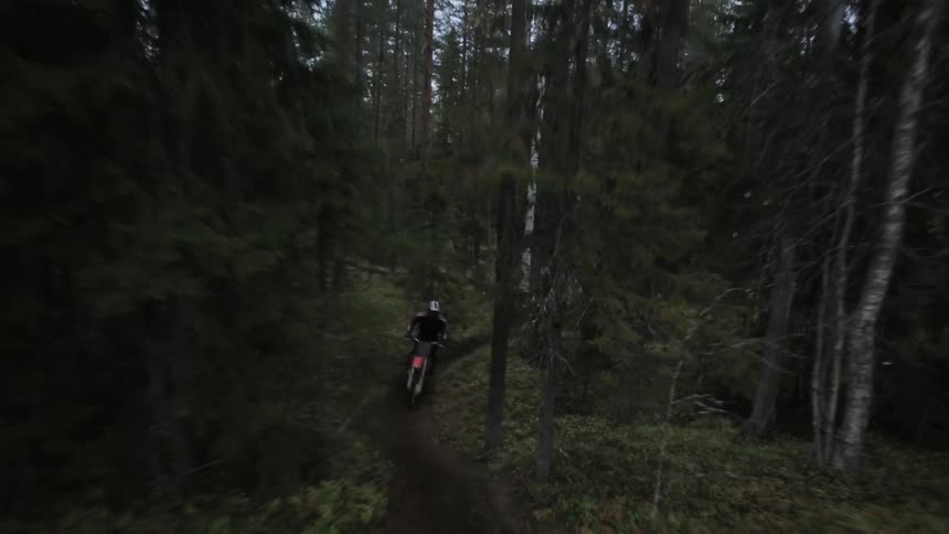 People are riding motorcycles on a dirt trail in the woods