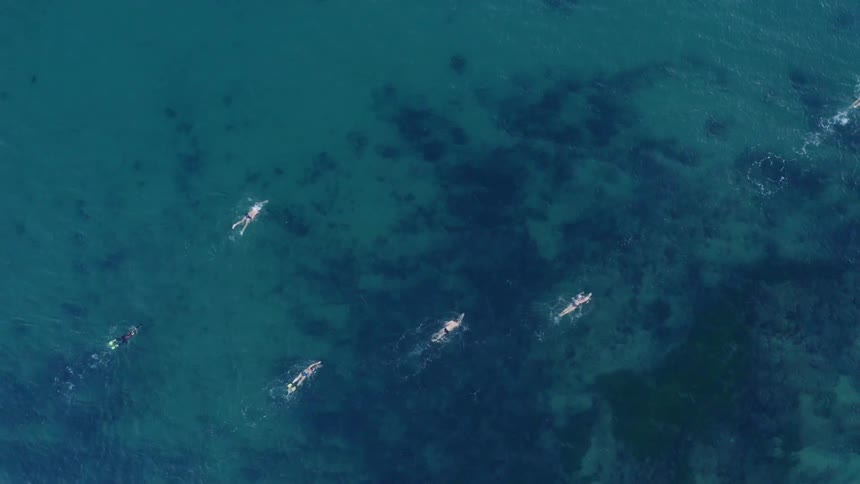 A group of swimmers make their way across turquoise waters