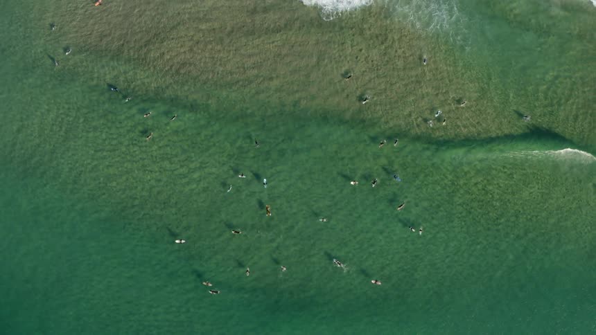 People with surfboards on the ocean with water of waves