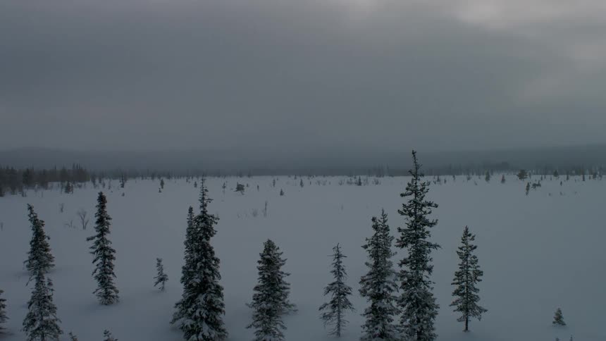 A snowy field on a cloudy day