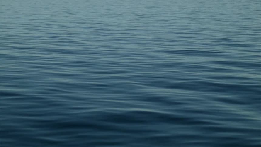 A calmly undulating body of water