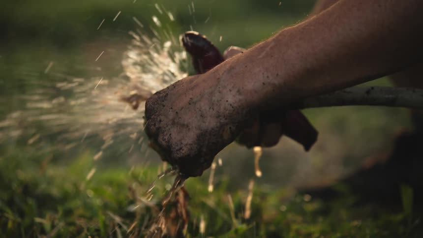 A person with a garden hose washing yams with water with grass in the background