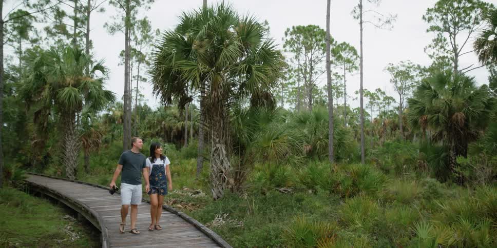 A man and woman walking outdoors in a forest area