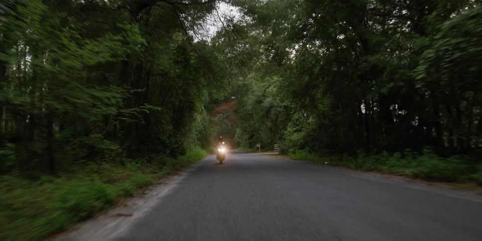 A motorcyclist rides down a road through a forest during the day