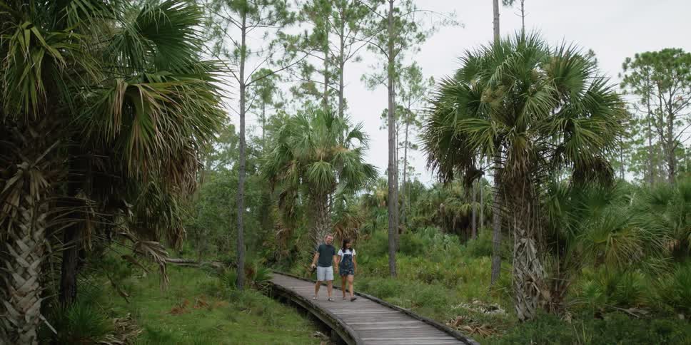 A man and woman hold hands as they walk down a path in a tropical area