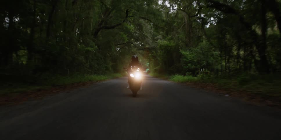 A person drives a motorcycle down a tree lined road