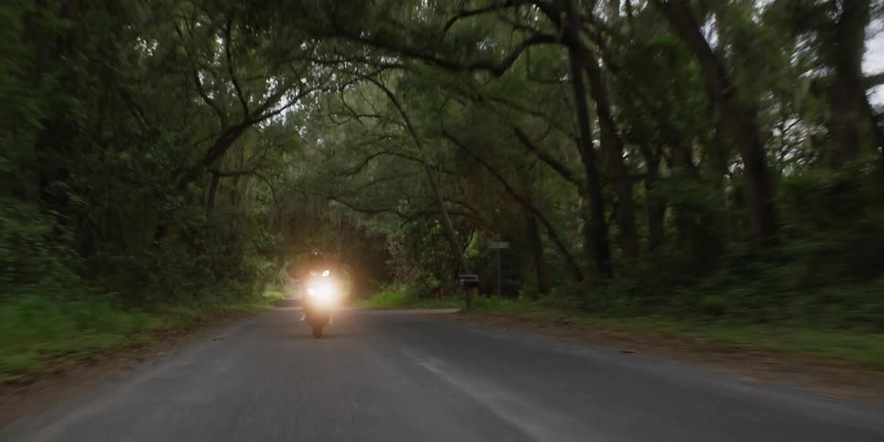 Motorcyclist rides a motorcycle on a road that goes through a forest