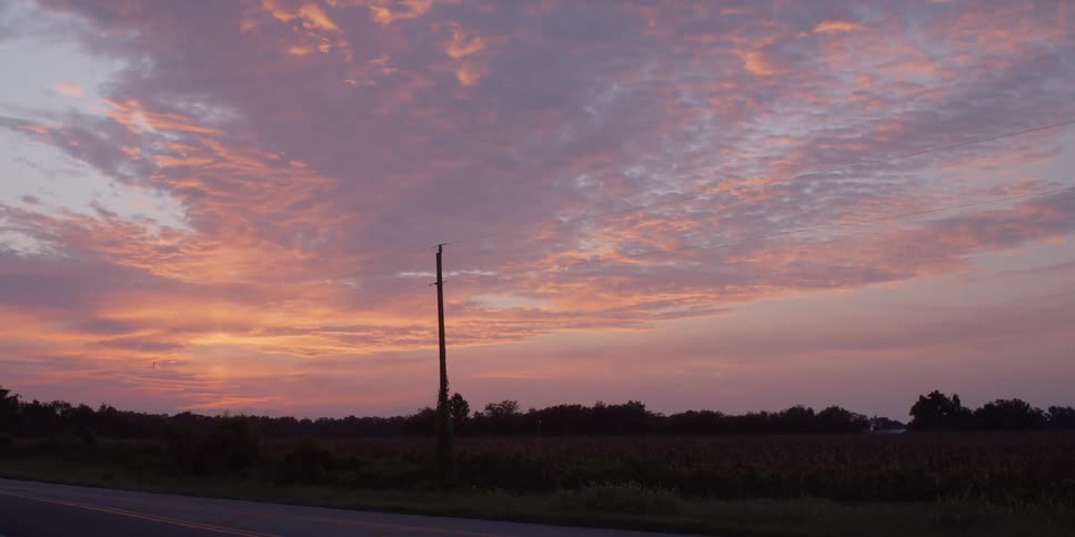 Telephone lines run alongside a road through a grassland at sunset