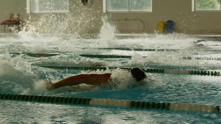 People swimming in a pool