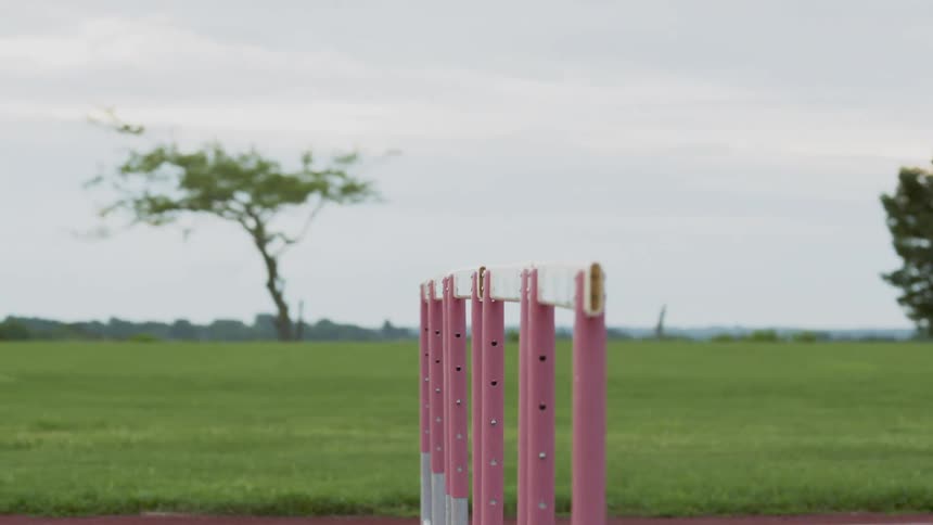 Hurdles on a race track