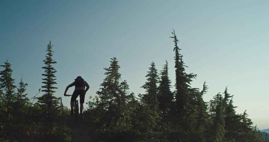 A man climbing a mountain bike trail through the trees against the blue sky