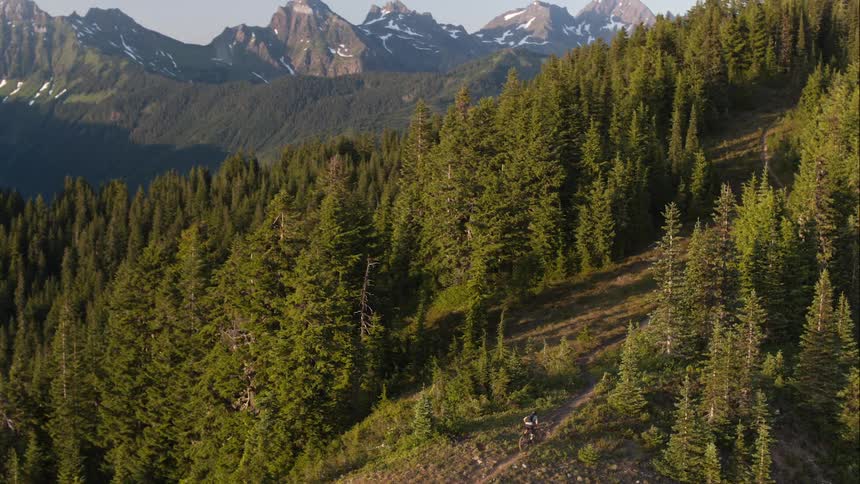 A person is pedalling their bike up a mountain into the trees
